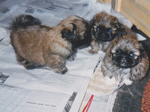 Estelle, Ernie a Elinne