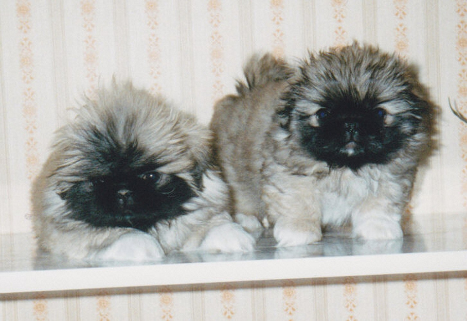 Deanne a Doreen