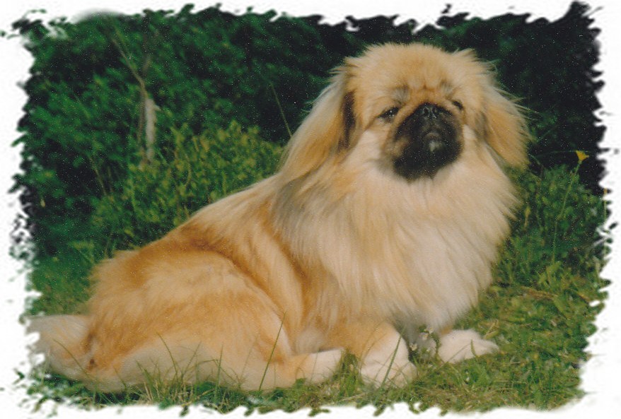 anette1
