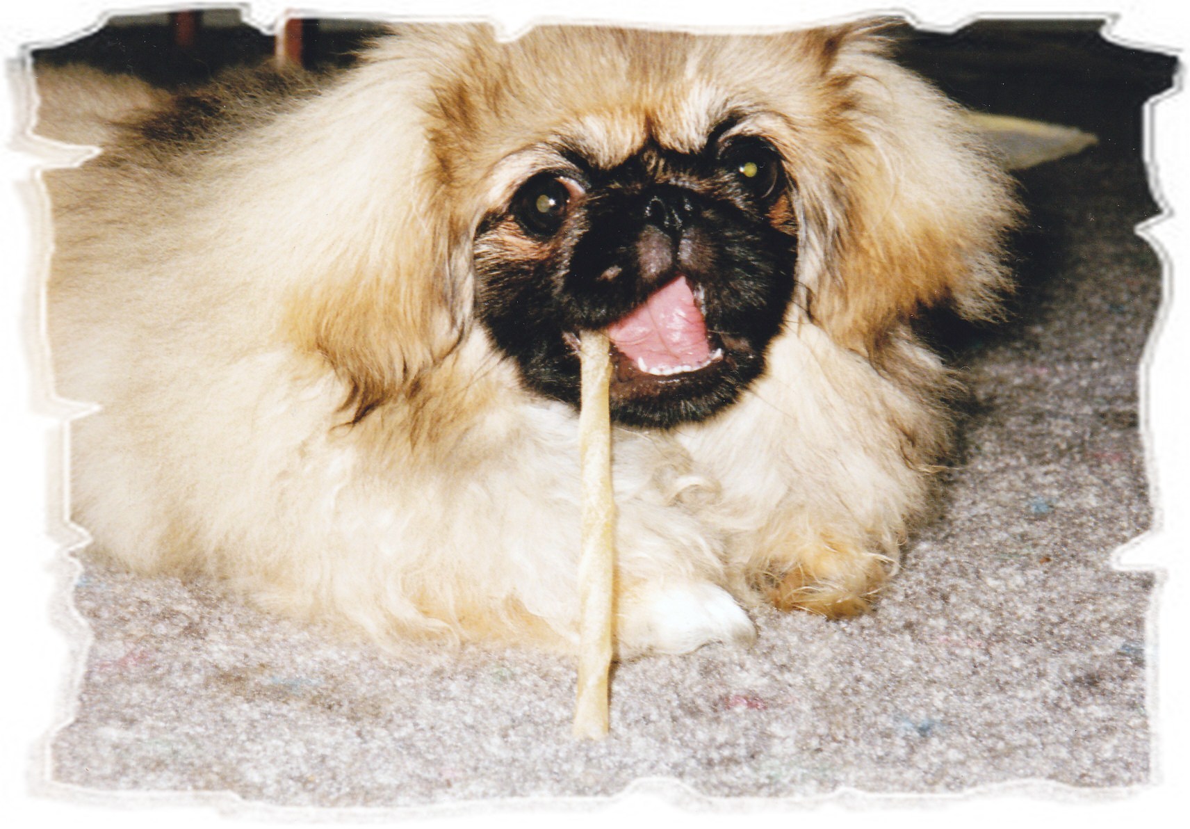 lucy3