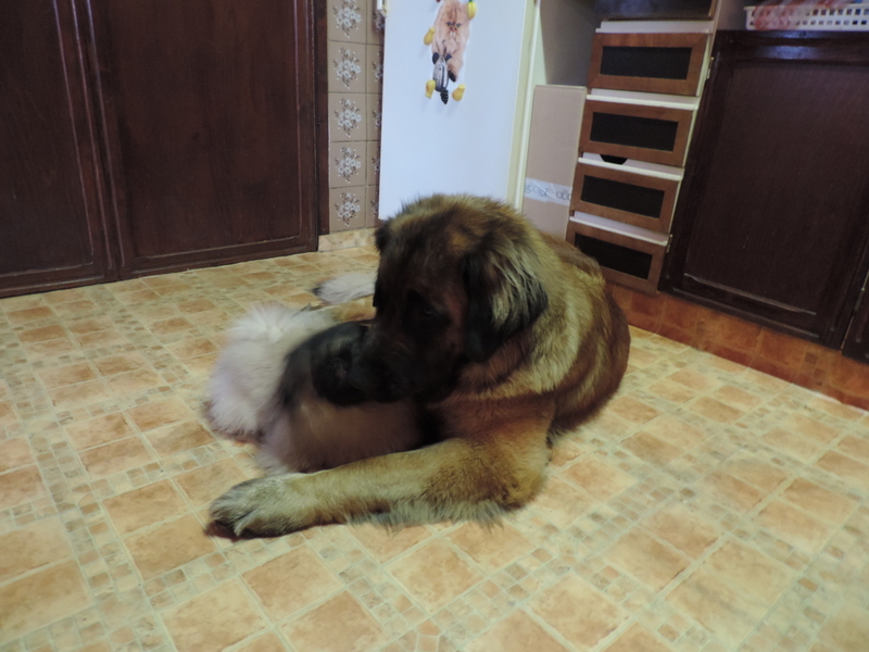 31-DSCN0797