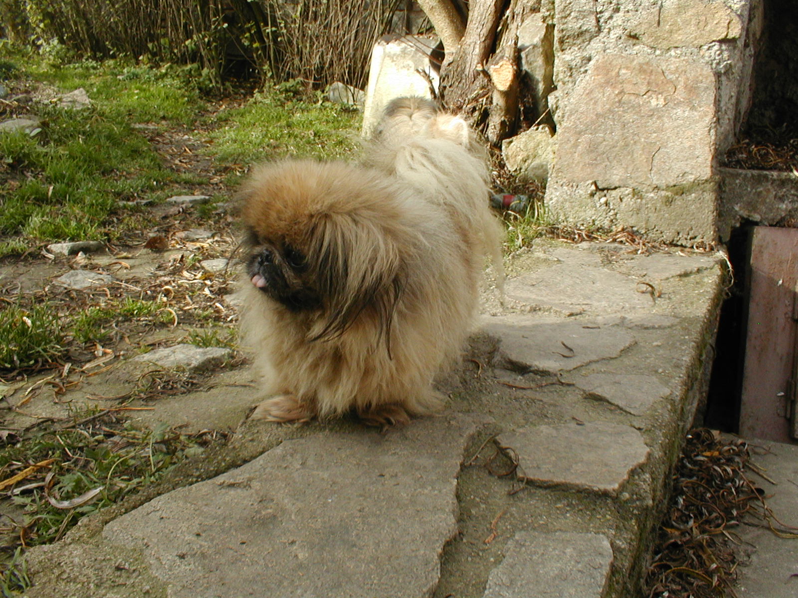 Florinka