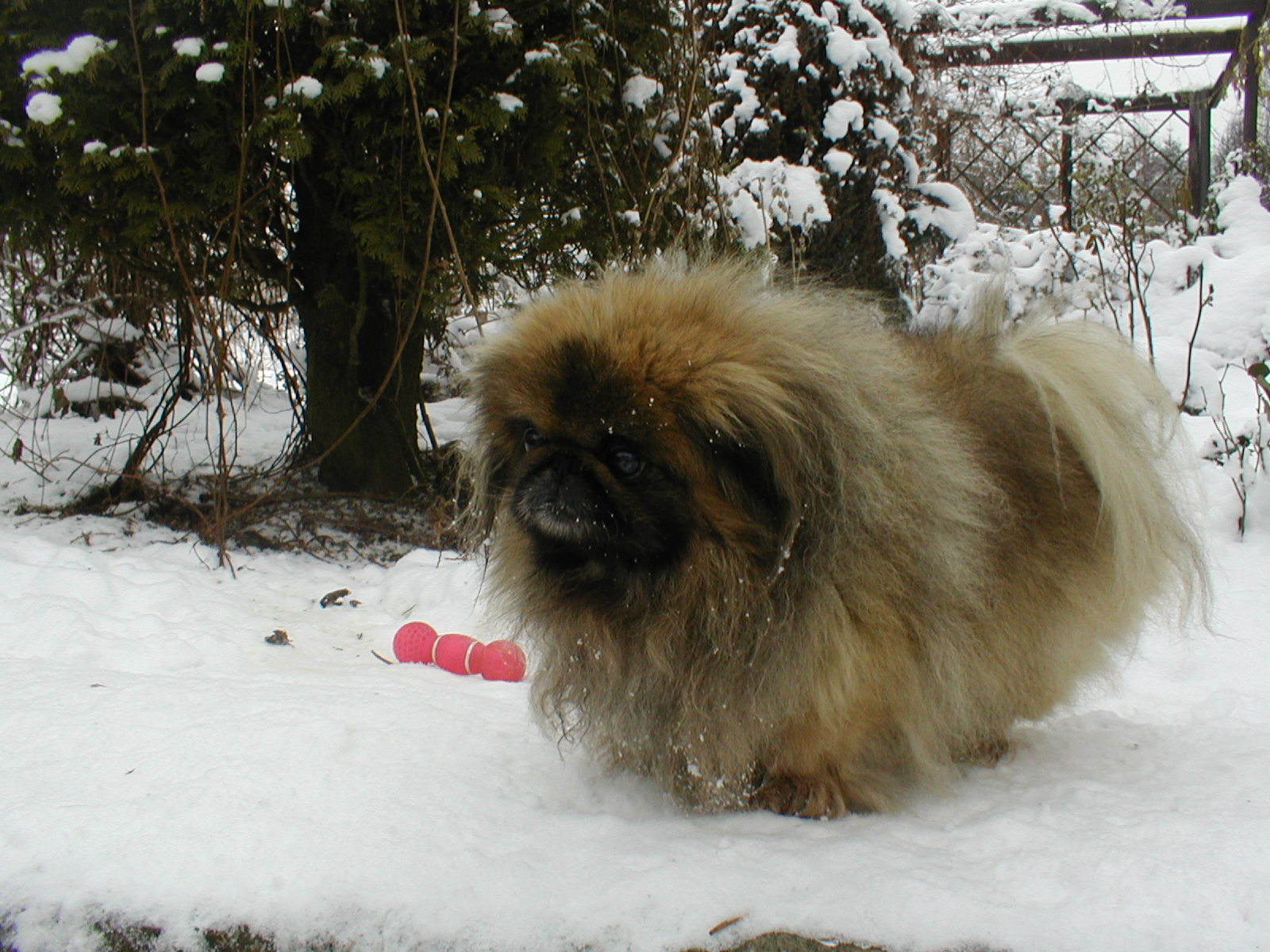 Lucinka1